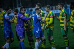 RUNCORN LINNETS (H) 26-11-2022