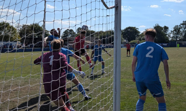STORKS COMEBACK IN BANK HOLIDAY LOSS