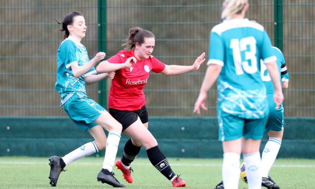 BRAVE EWES EXIT COUNTY CUP